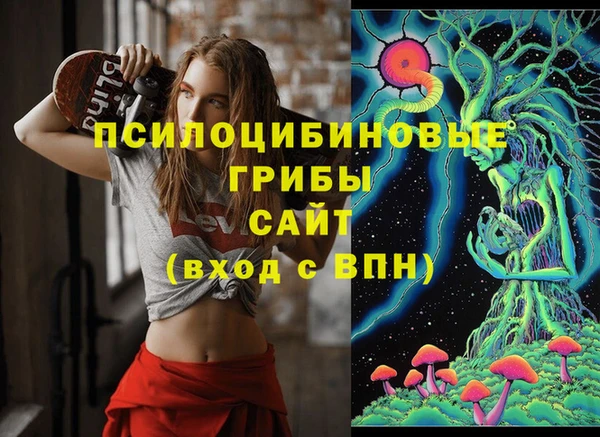 гидропоника Алексеевка