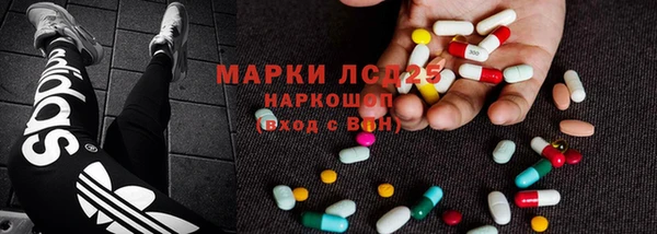 PSILOCYBIN Алзамай