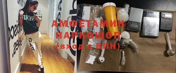 PSILOCYBIN Алзамай